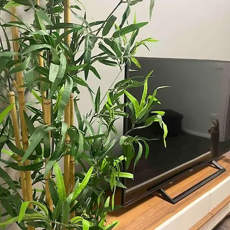 Apartment Cucchiari 2 *